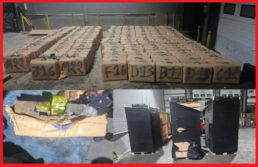 إحباط محاولة تهريب أكثر من 7 أطنان من الشيرا بميناء طنجة المتوسط