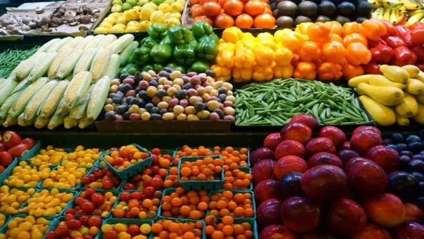 المنتجات الفلاحية المغربية تثير قلق المزارعين الإسبان مع ارتفاع الواردات بنسبة 24%