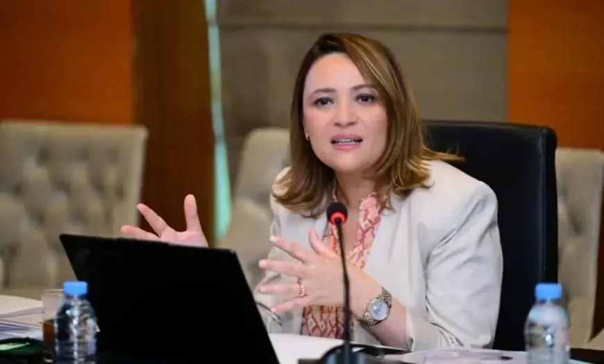عزيز أخنوش يوافق على قرار إعفاء مديرة “أنابيك” إيمان بلمعطي من مهامها