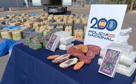 ضبط 15 طنا من الحشيش وإسقاط شبكة دولية بين المغرب وإسبانيا