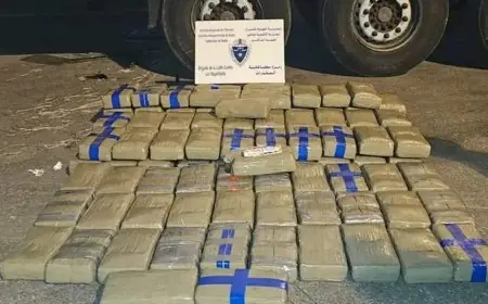 إحباط محاولة تهريب 28 كيلوغراما من المخدرات عبر ميناء بني أنصار