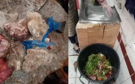 مرتيل.. حجز كميات كبيرة من اللحوم الفاسدة وإغلاق محل جزارة