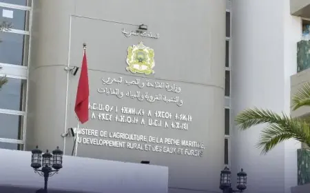 متابعة خمسة مسؤولين بوزارة الفلاحة في قضية شتائل الزيتون ببنسليمان