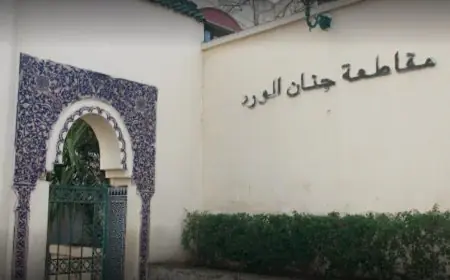 السعيد بوعياد ينفي الحكم عليه بسنة حبسا نافذا ويؤكد براءته