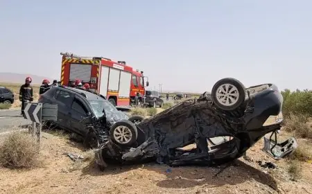 "نارسا" تطلق برنامجا وطنيا صارما للحد من حوادث السير