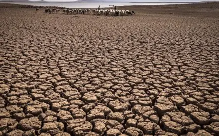 تقرير دولي ينذر بتدهور مقلق للوضع المائي في المغرب