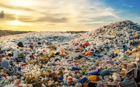 دراسة حديثة: جزيئات بلاستيكية مسؤولة عن 356 ألف وفاة بسبب أمراض القلب