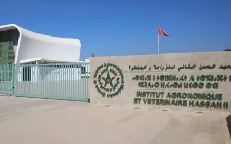 الحكومة تتعهد بعدم هدم سكن طلبة “الزراعة والبيطرة”.. والتقدم والاشتراكية يدعو لاستئناف الدراسة