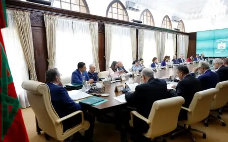 الحكومة تصادق على مشروع قانون يتعلق بحماية الحيوانات الضالة والوقاية من أخطارها