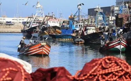 فضيحة.. العثور على شباك صيد غير قانونية بسفينة في ملكية رئيس غرفة الصيد البحري بأكادير