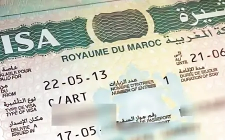 بعد ثلاث سنوات من الإطلاق.. التأشيرة الإلكترونية المغربية تتجاوز نصف مليون طلب