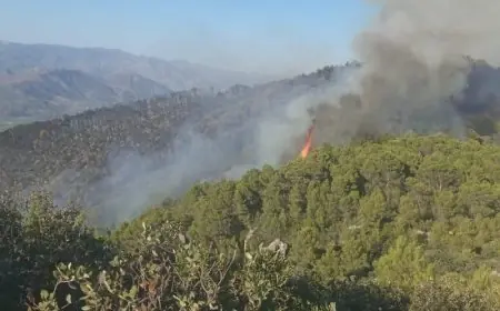نشرة إنذارية.. حرائق الغابات تهدد عددا من أقاليم المغرب بين 15 و18 يوليوز