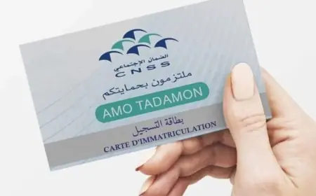 الحكومة: "CNSS" صرف 17 مليار درهم لمنخرطي "آمو تضامن"