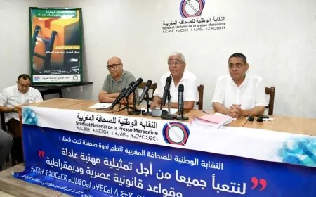 اخشيشن يحذر من "زحف إداري" على اختصاصات المجلس الوطني للصحافة