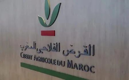 القرض الفلاحي للمغرب.. صراع داخلي يهدد استقرار المؤسسة