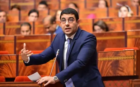 بنسعيد يكشف عن مشروع قانون جديد لتأطير المحتوى وحماية الأطفال والمسنين من الاستغلال الرقمي