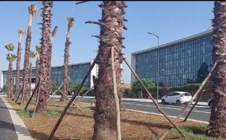 جمعيات بيئية تنتقد استمرار"تنخيل المدن المغربية"