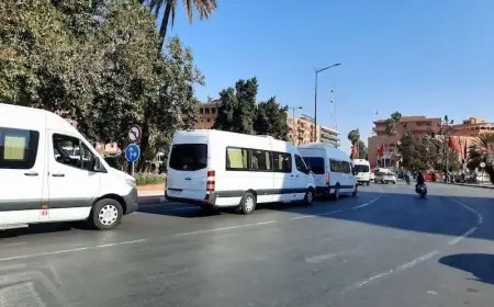 الجمعية الجهوية للنقل السياحي بسوس ماسة تنفي منع الحافلات من دخول المناطق السياحية