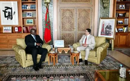 غامبيا تجدد دعمها لمبادرة الحكم الذاتي وسيادة المغرب على صحرائه