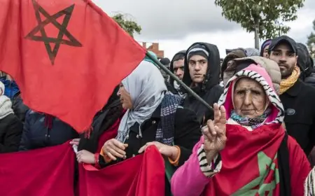 ارتفاع نسبة تأييد المغاربة للديمقراطية إلى 73 بالمائة خلال ولاية عزيز أخنوش