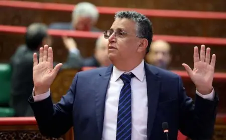 وهبي: ثروتي تراجعت منذ أن أصبحت وزيرا