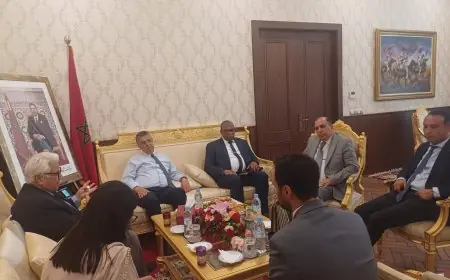 وهبي يبحث مع سفير باكستان بالمغرب سبل تطوير التعاون القضائي