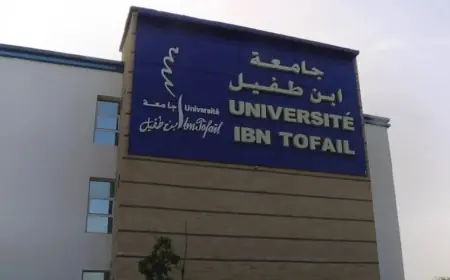 وزير التعليم العالي يعفي رئيس جامعة إبن طفيل بالقنيطرة