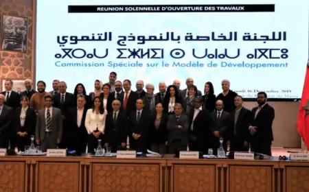 أستاذ جامعي يقيم التحديات الاقتصادية والاختلالات في تنزيل النموذج التنموي