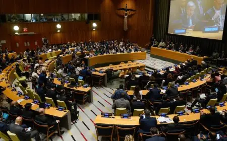 في مؤتمر حل الدولتين.. لندن تلوح بالاعتراف بفلسطين ما لم تتوقف حرب غزة