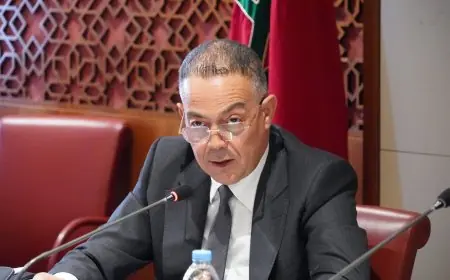 لقجع يؤكد تقدم تنفيذ 98% من مبادرات خارطة طريق تحسين الاستثمار