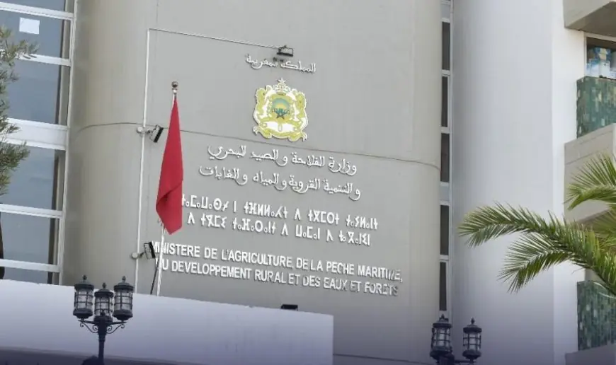 متابعة خمسة مسؤولين بوزارة الفلاحة في قضية شتائل الزيتون ببنسليمان