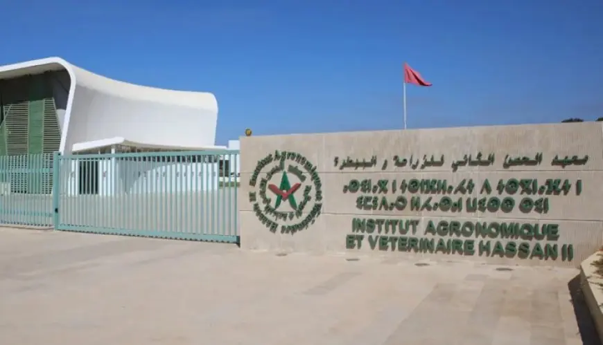 الحكومة تتعهد بعدم هدم سكن طلبة “الزراعة والبيطرة”.. والتقدم والاشتراكية يدعو لاستئناف الدراسة