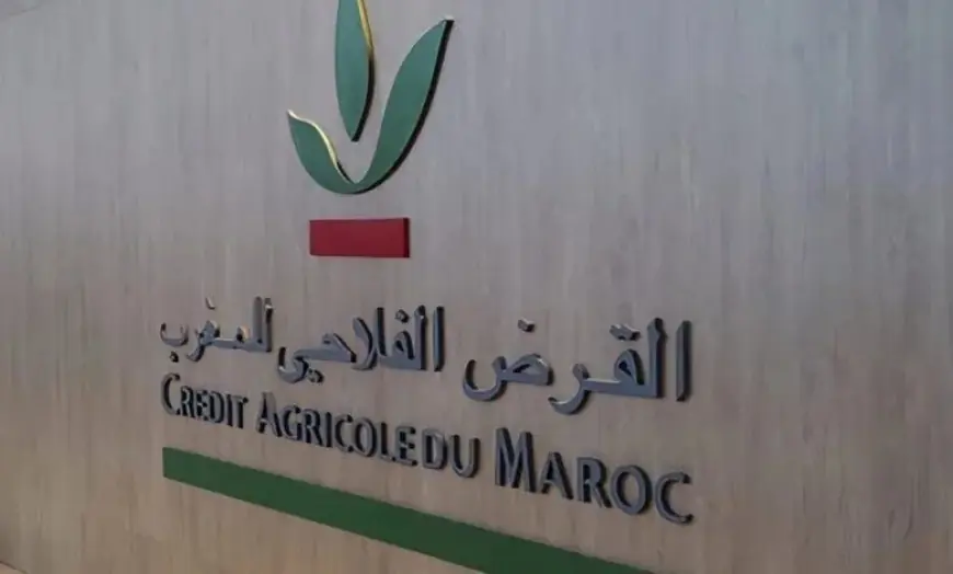 القرض الفلاحي للمغرب.. صراع داخلي يهدد استقرار المؤسسة