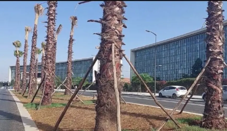 جمعيات بيئية تنتقد استمرار"تنخيل المدن المغربية"