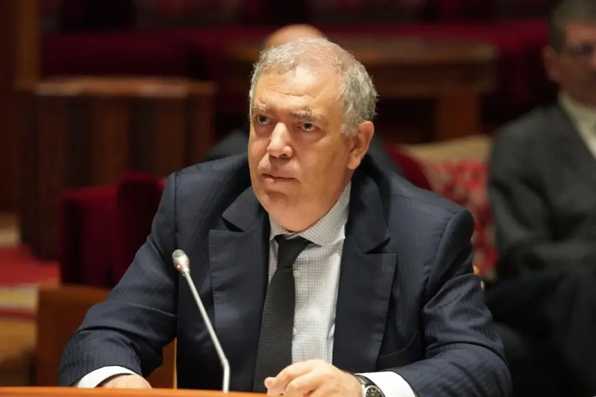 لفتيت يؤكد تعزيز جهود المغرب لمكافحة ظاهرة الكلاب الضالة باستراتيجية شاملة
