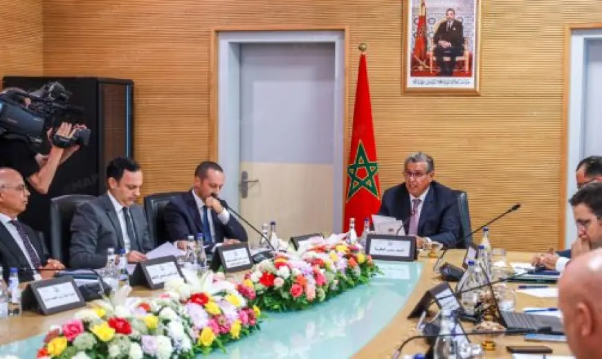 أخنوش يعلن بدء تنزيل الرؤية الجديدة للقطاع الصحي انطلاقا من طنجة