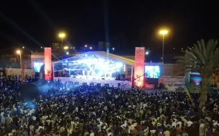 برنامج الدورة السابعة عشر لمهرجان تيفاوين بتافراوت