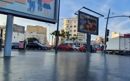 حملة واسعة لإزالة اللوحات الإشهارية العشوائية بدار بوعزة