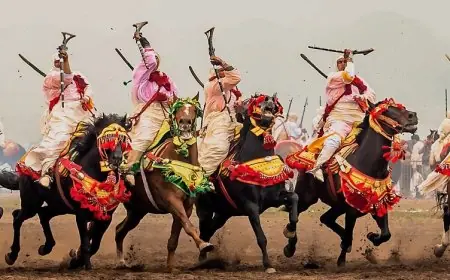 الدورة ال16 من معرض الفرس بالجديدة: سلسلة من الندوات حول العناية بالخيل والتراث المرتبط بالفروسية