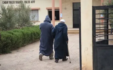 أنظمة التقاعد بالمغرب تحقق مساهمات بقيمة 66,8 مليار درهم خلال سنة 2024