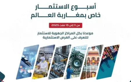 إطلاق أسبوع خاص بالاستثمار لفائدة مغاربة العالم من 11 إلى 15 غشت الجاري
