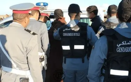 الدرك الملكي يلاحق شبكات ترويج "القرقوبي" والكوكايين بالبوادي المغربية