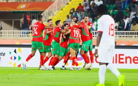 بعد كبوة كينيا.. تعديلات مرتقبة في صفوف "الأسود المحليين" قبل مواجهة زامبيا
