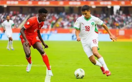"الكاف" يصدر عقوبات تأديبية في حق المنتخب المحلي المغربي بسبب “سلوك غير لائق” للاعلين