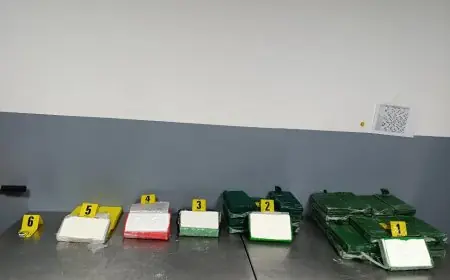 إحباط محاولة تهريب 52 كيلوغراما من الكوكايين بميناء طنجة المتوسط