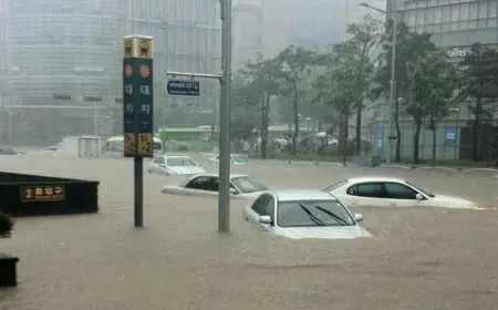 أمطار غزيرة تغرق العاصمة الكورية سيول وتتسبب في وفاة 3 أشخاص