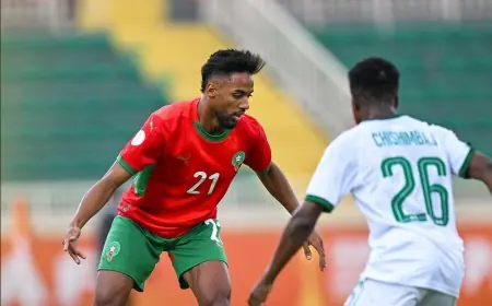 المنتخب المغربي ينتصر على زامبيا في كأس افريقيا للمحليين