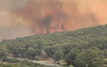 اندلاع حرائق غابات بشمال المغرب يرفع مطالب التعويض عن الأضرار