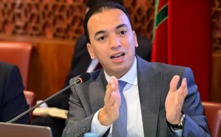 السعدي: مشروع قانون الإطار للاقتصاد الاجتماعي والتضامني بلغ مراحله الأخيرة