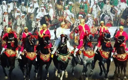 اختتام فعاليات موسم مولاي عبد الله أمغار وسط إقبال جماهيري واسع